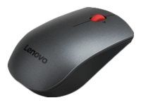 Lenovo Professional - mouse - 2.4 GHz - Campus